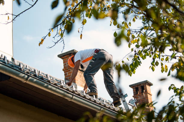 Steel Roofing